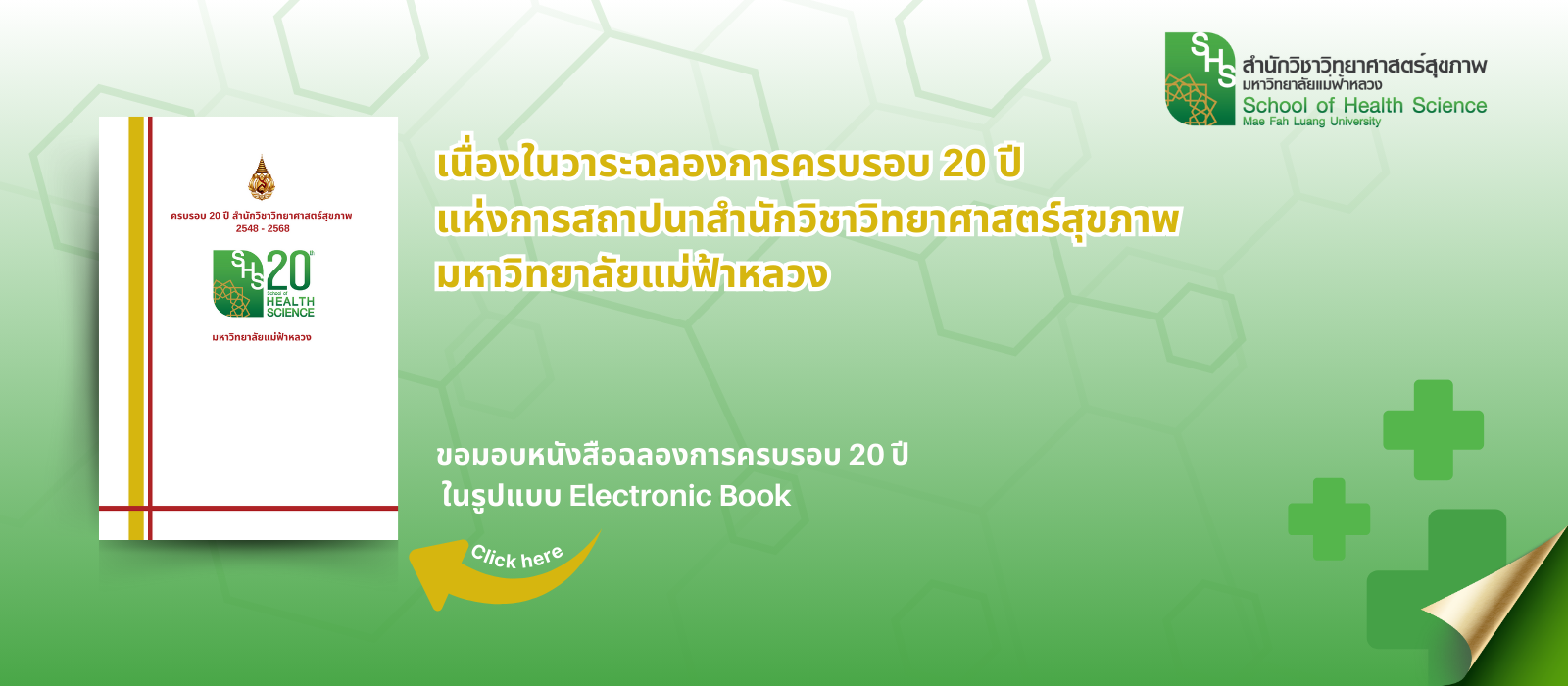 หนังสือ 20 ปี